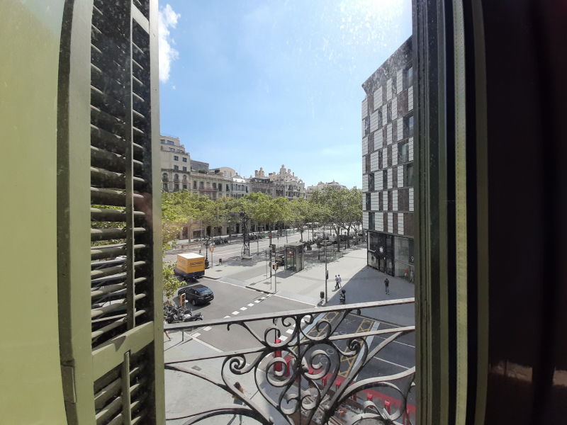 20200903_115017.jpg