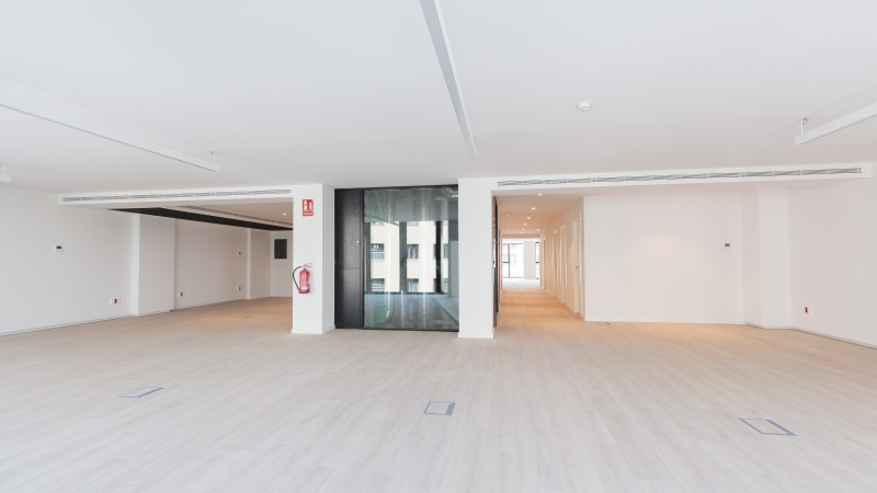 06-nn-planta-4-arago-182.jpg