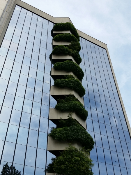 20160526_095425.jpg