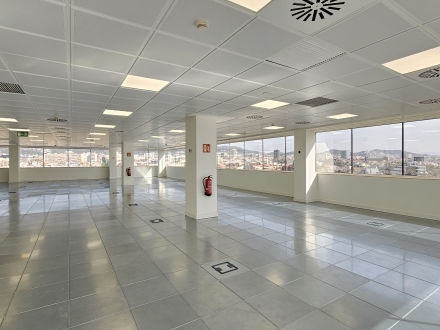 Numància / Viriat Barcelona (466 m2)