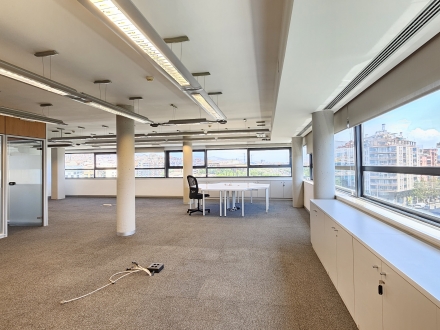 Almogavers / Marina (246 m2)
