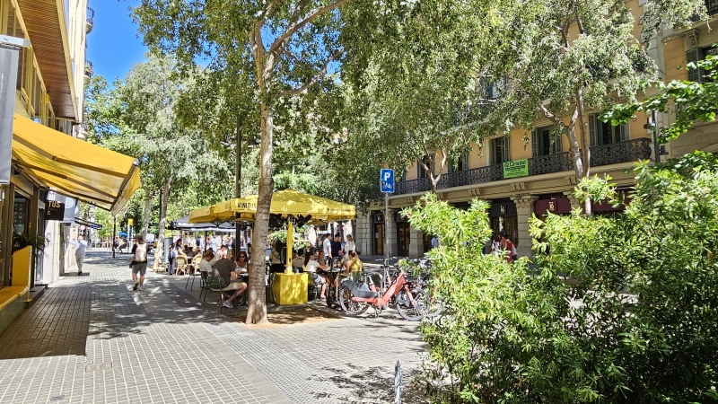 20250902_145844.jpg