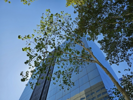 Diagonal / Gandesa (314m2)