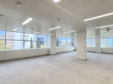 Diagonal / Pedro i Pons (161m2)