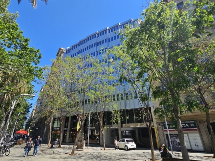 Avda. Diagonal / Buenos Aires Barcelona (156 m2)